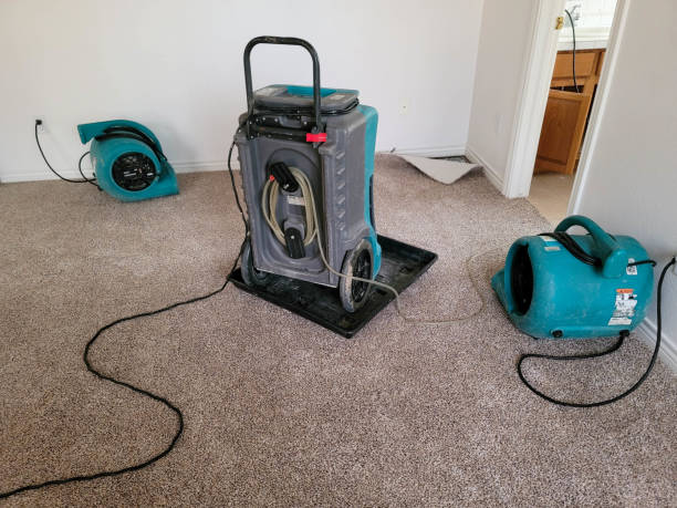 Best Water damage restoration specialists  in Cinco Ranch, TX