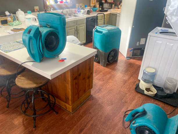 Best Local water damage restoration  in Cinco Ranch, TX
