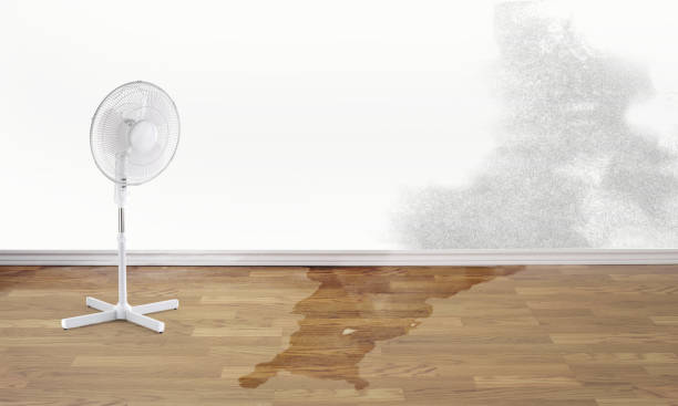 Best Residential water damage restoration  in Cinco Ranch, TX