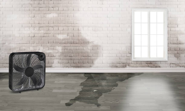 Best 24-hour water damage restoration  in Cinco Ranch, TX