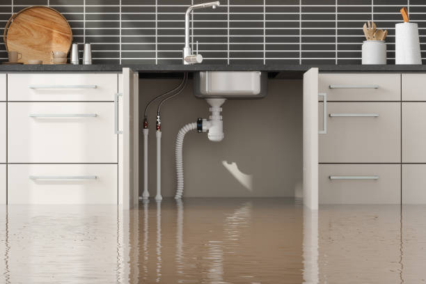 Best Flood damage cleanup  in Cinco Ranch, TX