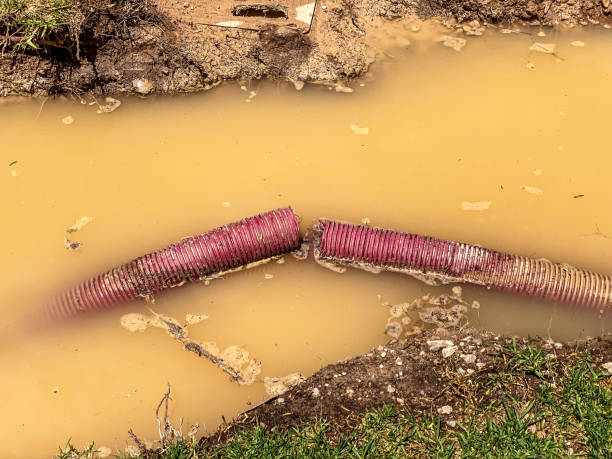 Best Carpet water damage restoration  in Cinco Ranch, TX