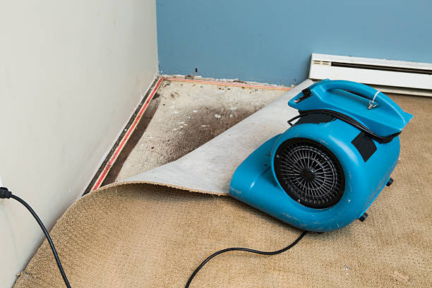 Best Water damage repair service  in Cinco Ranch, TX